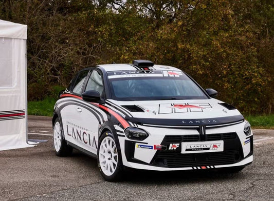 Lancia Ypsilon rally4 foot rests(carbon fibre)